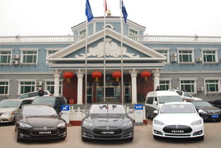 中進(jìn)汽車租賃穩(wěn)步推進(jìn)新能源汽車租賃業(yè)務(wù)