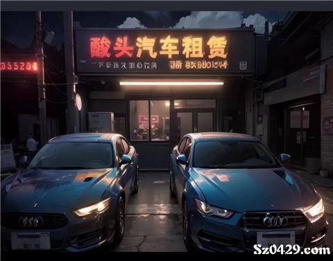 綏中酸頭汽車租賃 便捷出行，專業(yè)服務(wù)